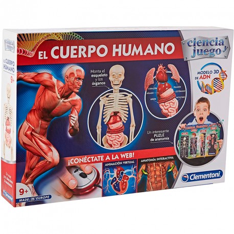 EL CUERPO HUMANO