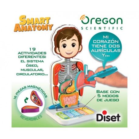 OREGON SMART ANATOMY