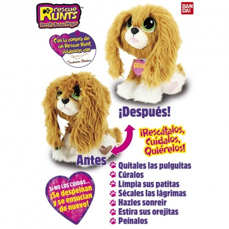 RESCUE RUNTS SPANIEL