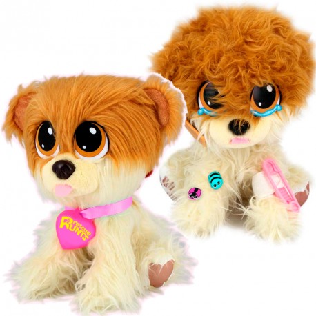 RESCUE RUNTS POMERANIA 