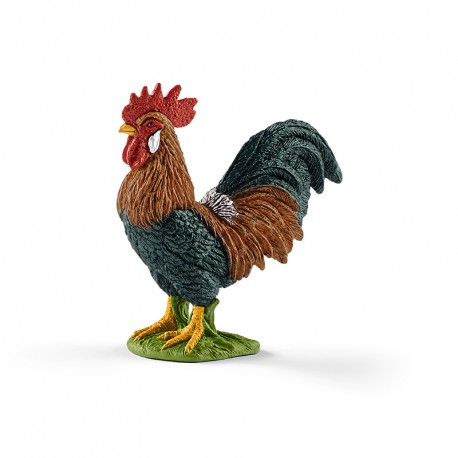 FIGURA GALLO