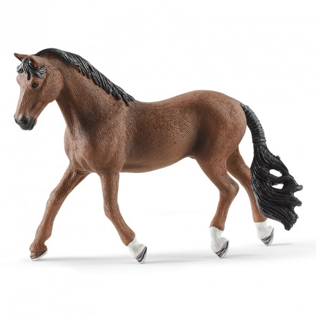 CABALLO TRAKEHNER