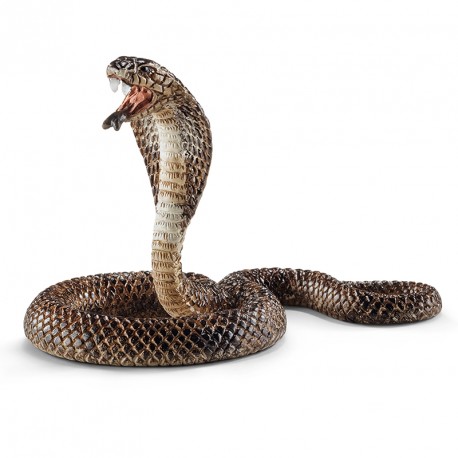 FIGURA COBRA