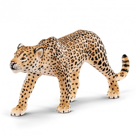 FIGURA LEOPARDO