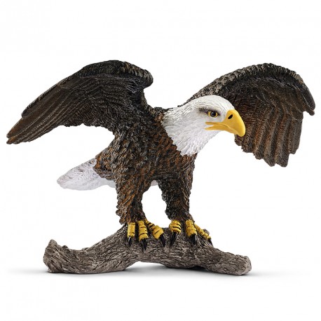 AGUILA CALVA AMERICANA
