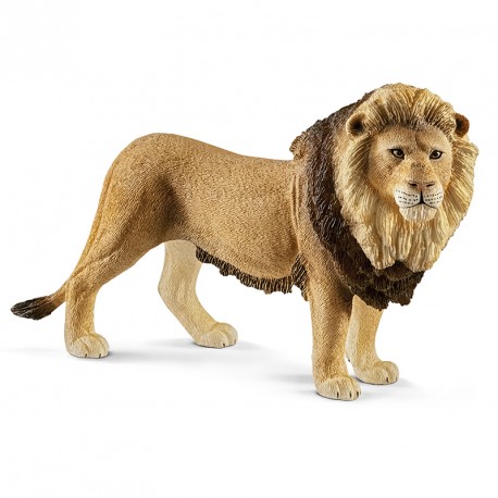 FIGURA LEON