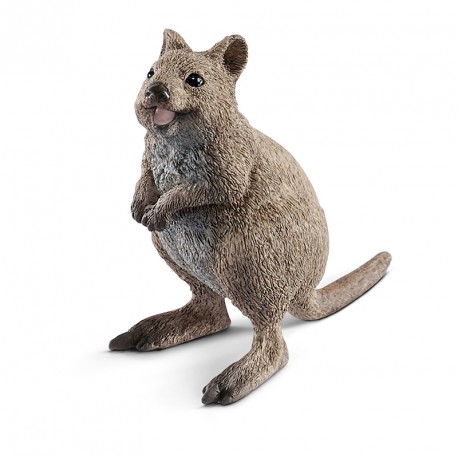FIGURA QUOKKA