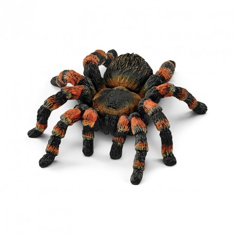 FIGURA TARANTULA