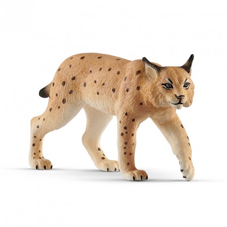 FIGURA LINCE