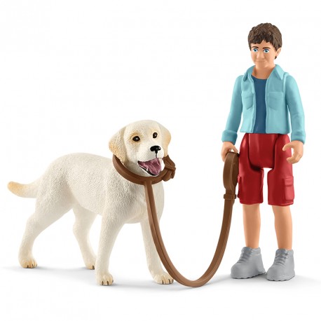 PASEO CON LABRADOR RETRIEVER