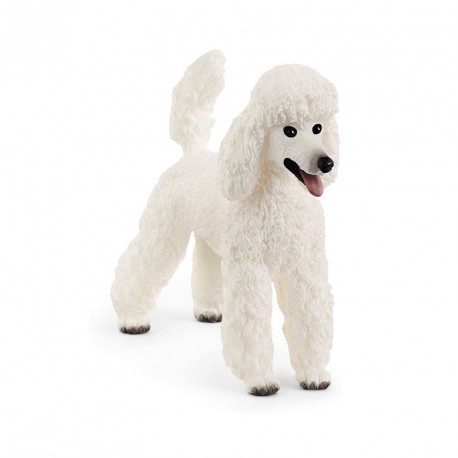 CANICHE