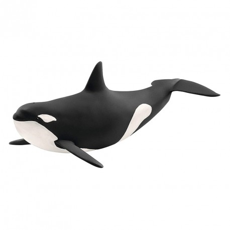 FIGURA ORCA