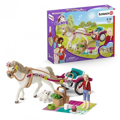 COCHE DE CABALLOS PARA EL ESPECTACULO ECUESTRE