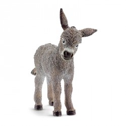 FIGURA BORRIQUILLO