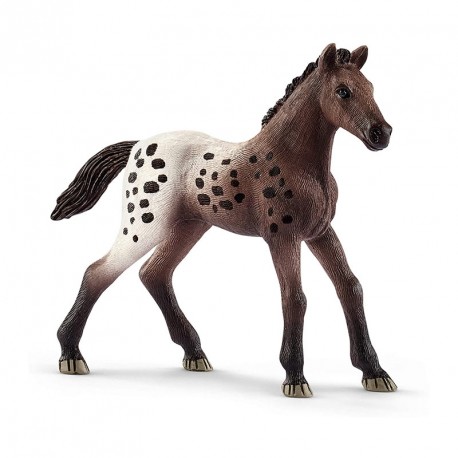 POTRO APPALOOSA