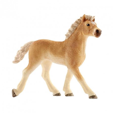 FIGURA POTRO HAFLINGER