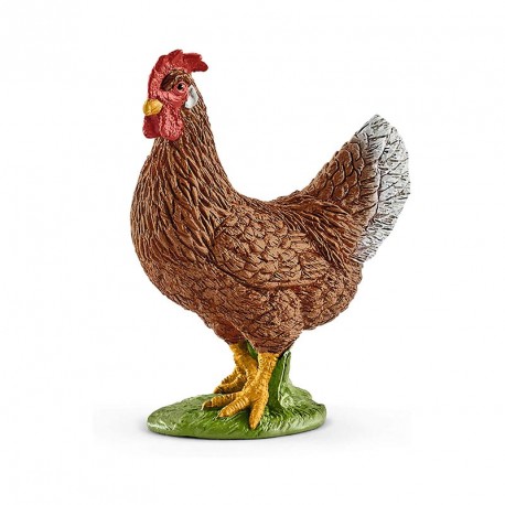 FIGURA GALLINA