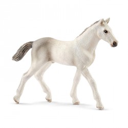 FIGURA POTRO HOLSTEINER