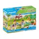 COUNTRY PASEO EN PONI