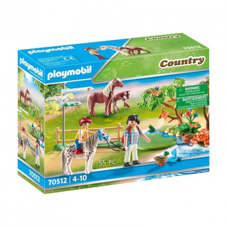 COUNTRY PASEO EN PONI