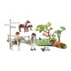 COUNTRY PASEO EN PONI