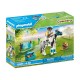 COUNTRY PONI COLECCIONABLE LEWITZER