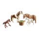 COUNTRY PONIS CON POTROS