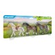 COUNTRY 3 CABALLOS