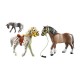 COUNTRY 3 CABALLOS