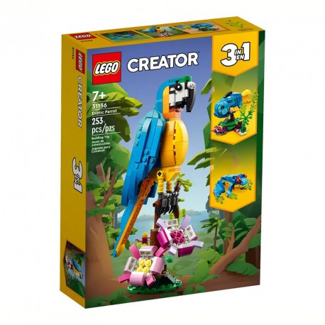 CREATOR LORO EXOTICO