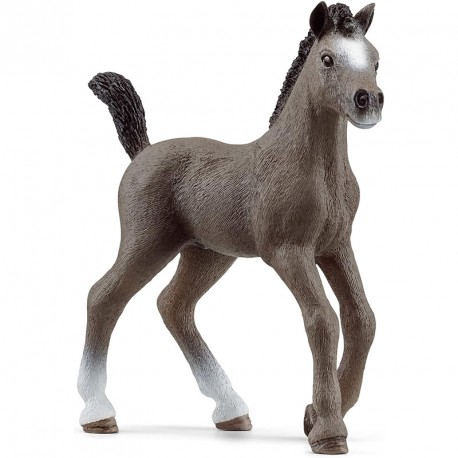 FIGURA POTRO CHEVAL DE SELLE FRANÇAIS