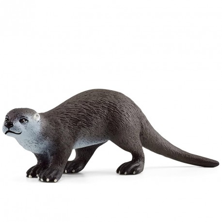 FIGURA NUTRIA