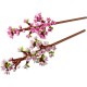BOTANICALS FLORES DE CEREZO