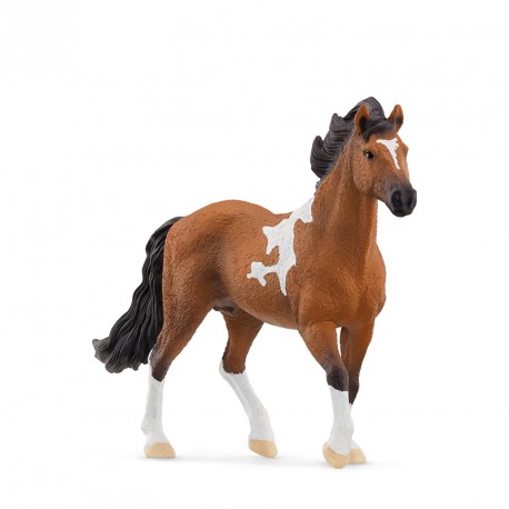 FIGURA SEMENTAL MANGALARGA MARCHADOR 