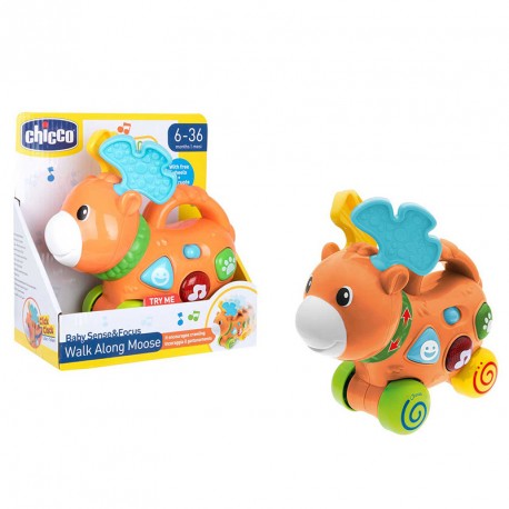 PUSH ALONG MOOSE