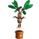 HARRY POTTER MANDRAGORA