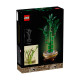 BOTANICALS BAMBU DE LA SUERTE
