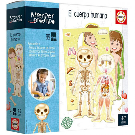 APRENDO EL CUERPO HUMANO