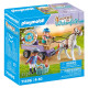 HORSES OF WATERFALL CARRUAJE CON PONI