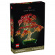 BOTANICALS BONSAI DE ARCE ROJO JAPONES