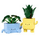 BOTANICALS PLANTAS FELICES