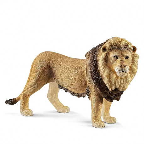 FIGURA LEON