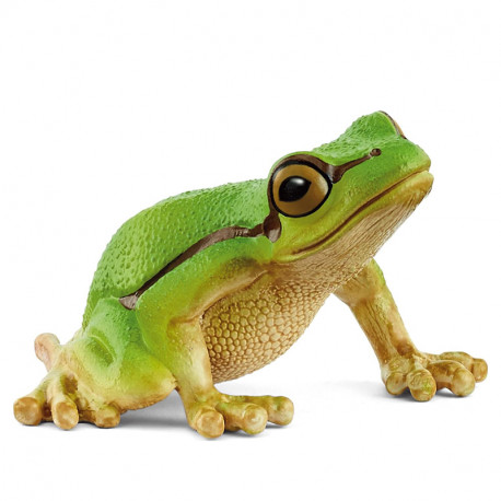 FIGURA RANA ARBORICOLA EUROPEA