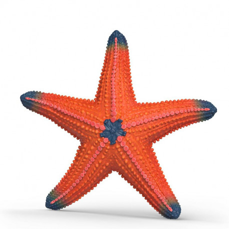 FIGURA ESTRELLA DE MAR