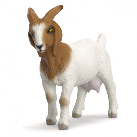 FIGURA CABRA BOER