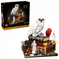 HARRY POTTER PIEDRA FILOSOFAL EDICION PARA COLECCIONISTAS