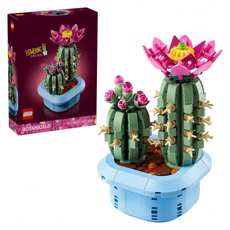 BOTANICALS CACTUS EN FLOR