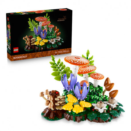BOTANICALS SETAS DEL BOSQUE