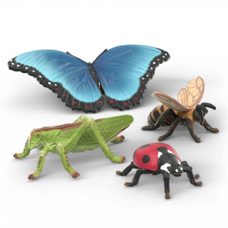 SET DE DESCUBRIMIENTO DE INSECTOS