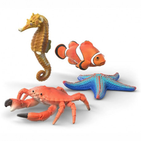 SET DE DESCUBRIMIENTO DE ANIMALES MARINOS